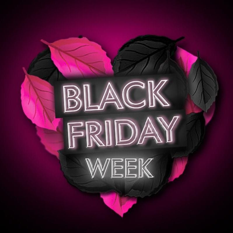 アミーカマコ_2020ブラックフライデーAmicaMako