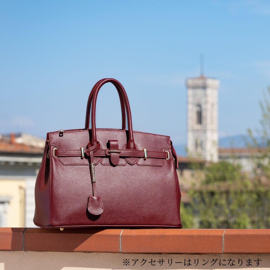イタリア製シボ型押しレザーのエレガントなハンドバッグTL BAG、イメージ
